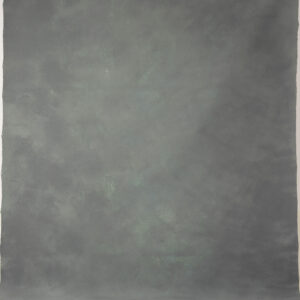 Verdant Mist Painted Canvas Backdrop (RN#230)
