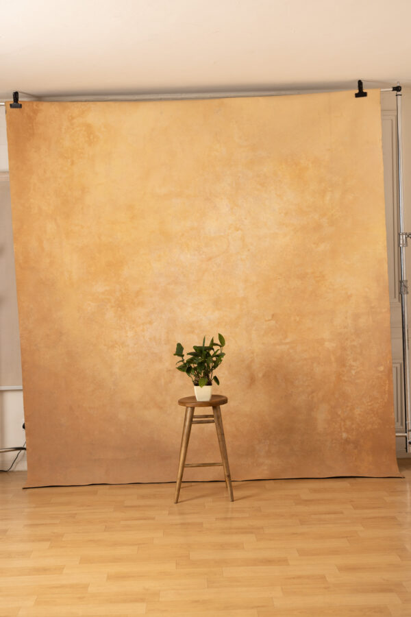 Cappuccino and Croc Painted Canvas Backdrop 8x10ft RN S1 #274(4)