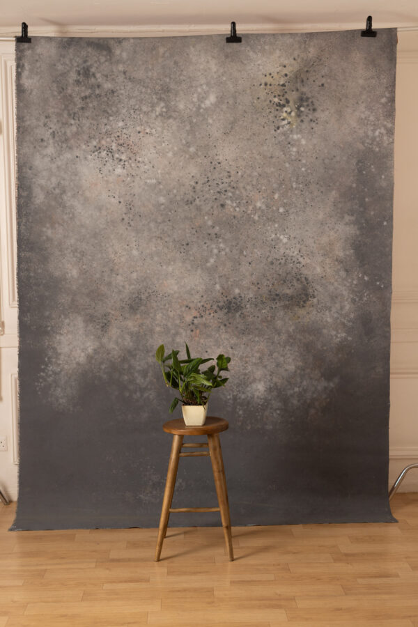 Cosmos and Martini Painted Canvas Backdrop 7x10ft RN S2 #408(6)