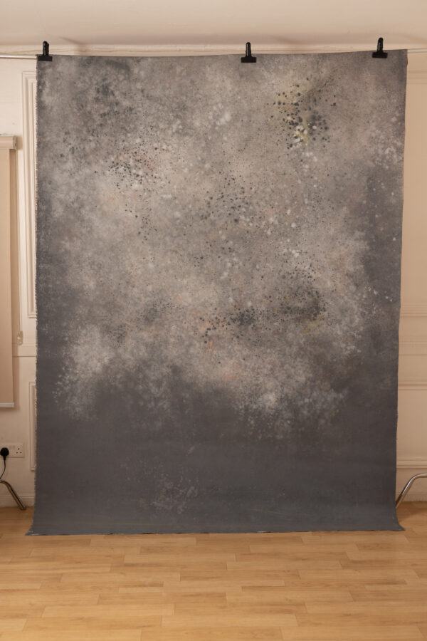 Cosmos and Martini Painted Canvas Backdrop 7x10ft RN S2 #408(8)