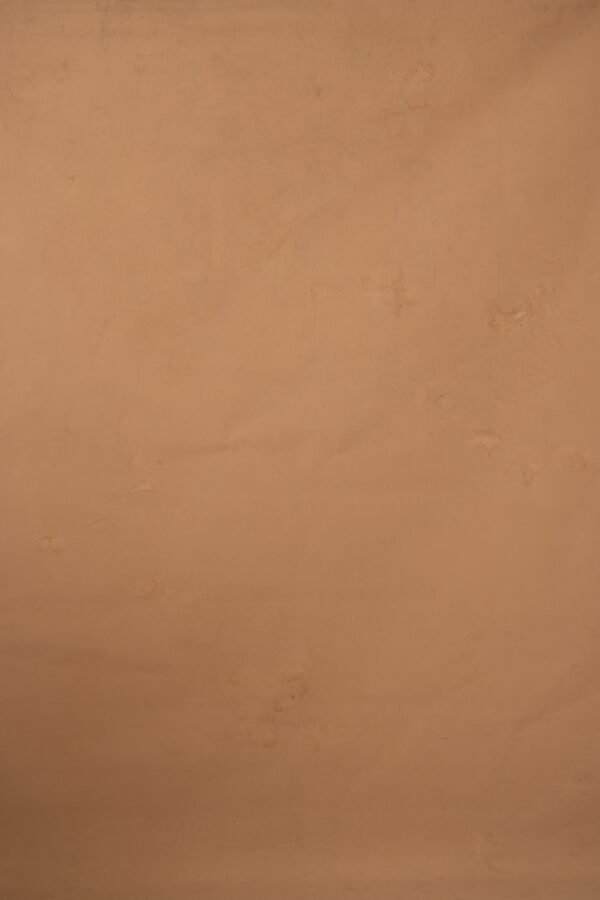 Granite and Cocoa Painted Canvas Backdrop8x14ft RN S2 #132(6)