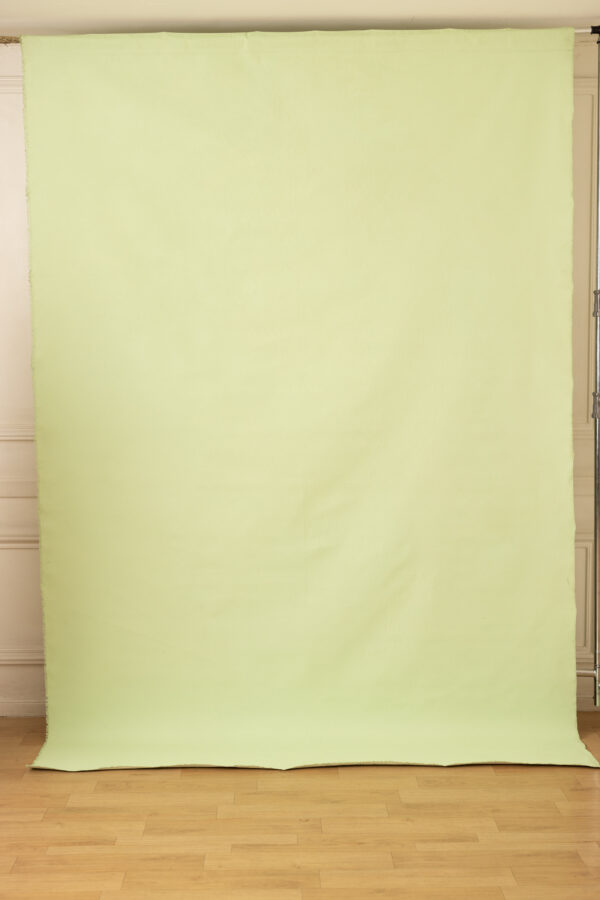 Green Mist Painted Canvas Backdrop 7x 10ft RN #423(1)