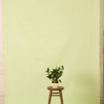 Green Mist Painted Canvas Backdrop 7x 10ft RN #423(2)
