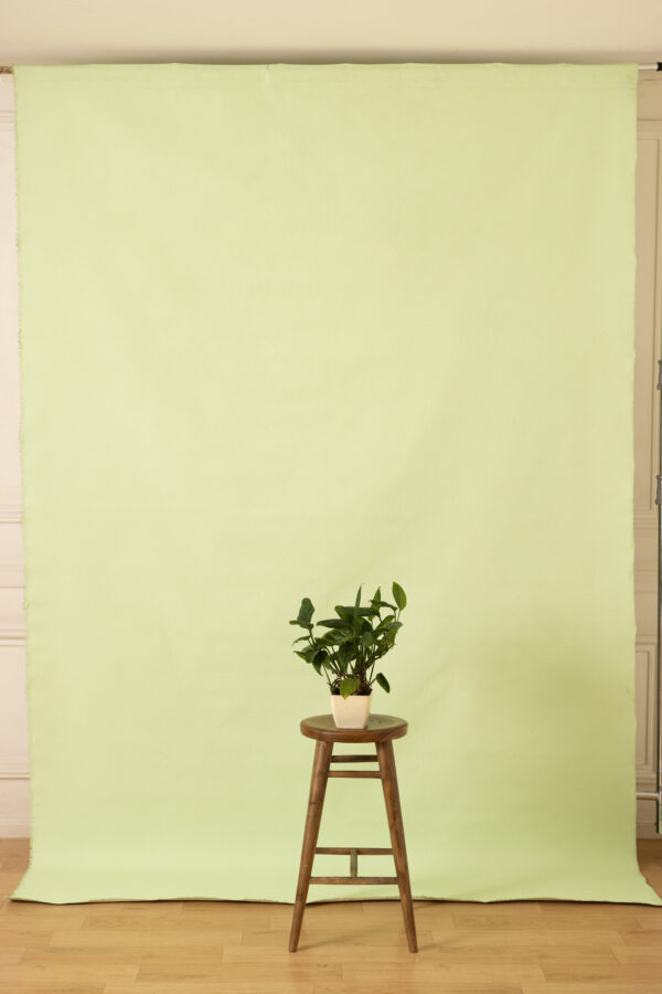 Green Mist Painted Canvas Backdrop 7x 10ft RN #423(2)