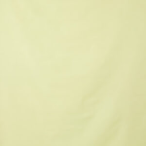 Green Mist Painted Canvas Backdrop 7x 10ft RN #423(4)