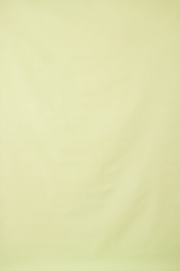 Green Mist Painted Canvas Backdrop 7x 10ft RN #423(4)