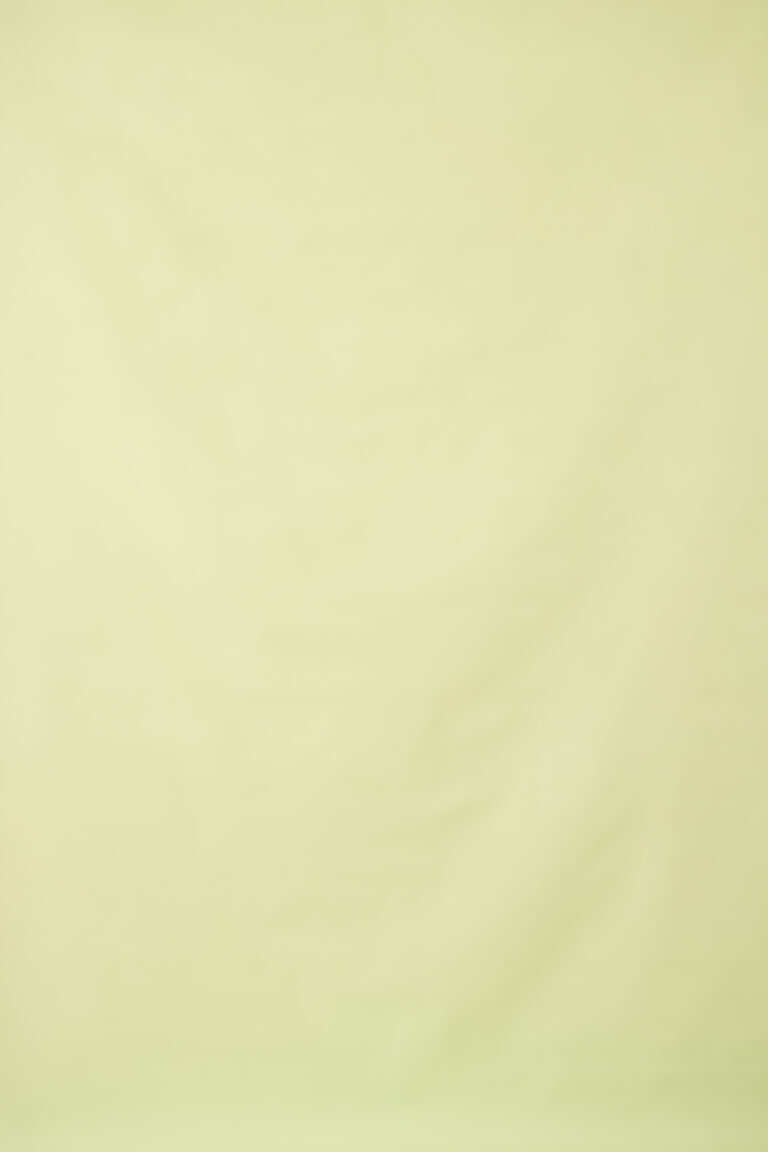 Green Mist Painted Canvas Backdrop 7x 10ft RN #423(4)