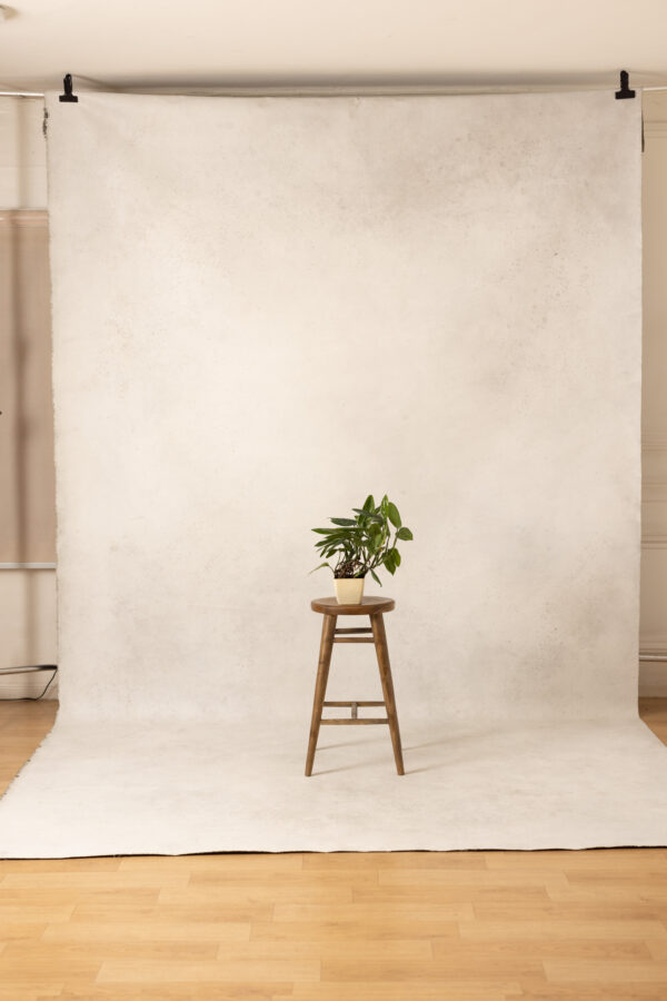 Pale Nickel and Liver Painted Canvas Backdrop 8x14ft RN S1 #46(4)