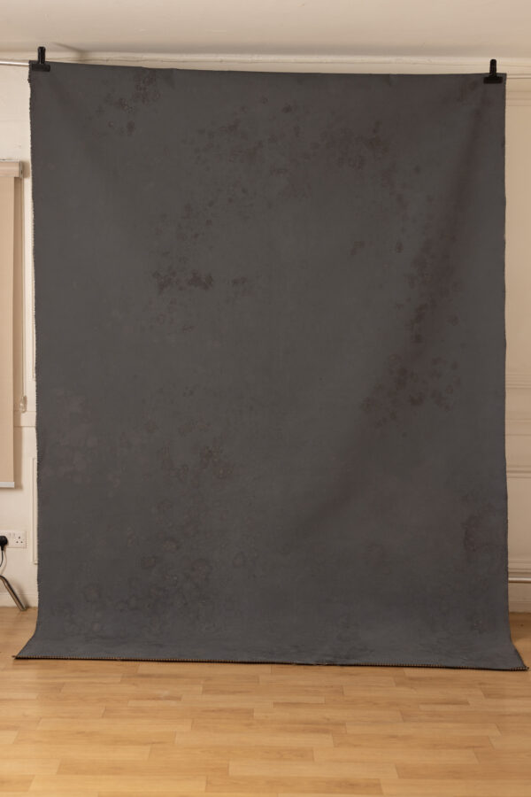 Parched Seal Painted Canvas Backdrop 8x10ft RN #143(1)