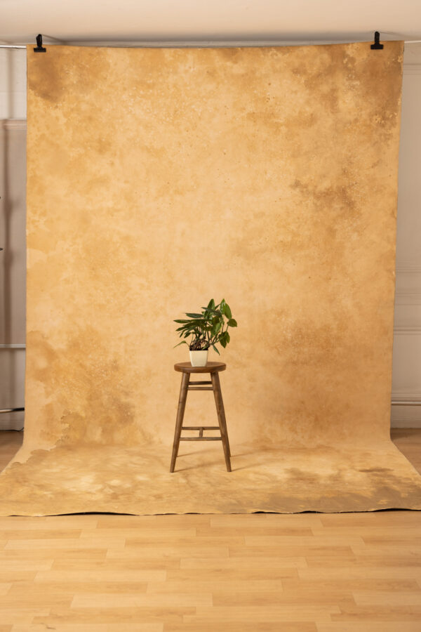 Peach Harvest and Iridium Painted Canvas Backdrop 8x14ft RN S1 #130(3)