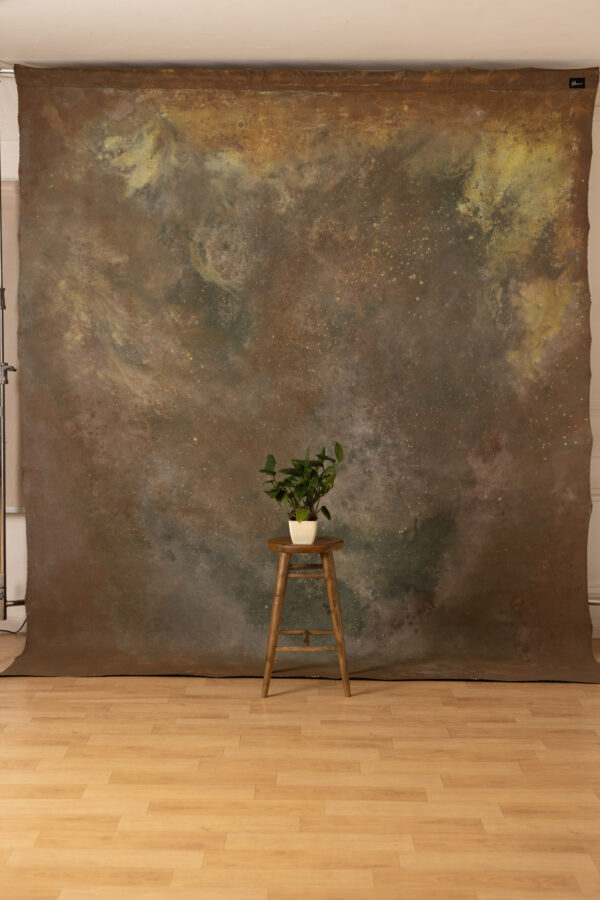 Pickled and Iroko Painted Canvas Backdrop 9x10ft RN S1 #418(3)