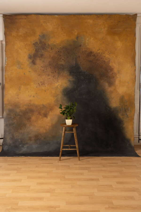 Pickled and Iroko Painted Canvas Backdrop 9x10ft RN S2 #418(8)