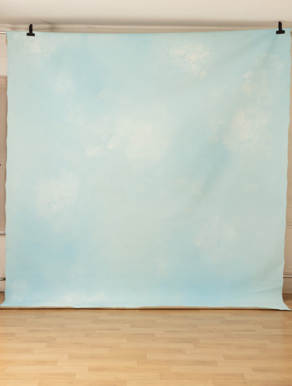 Porcelain Painted Canvas Backdrop 9x10ft RN #405(1)