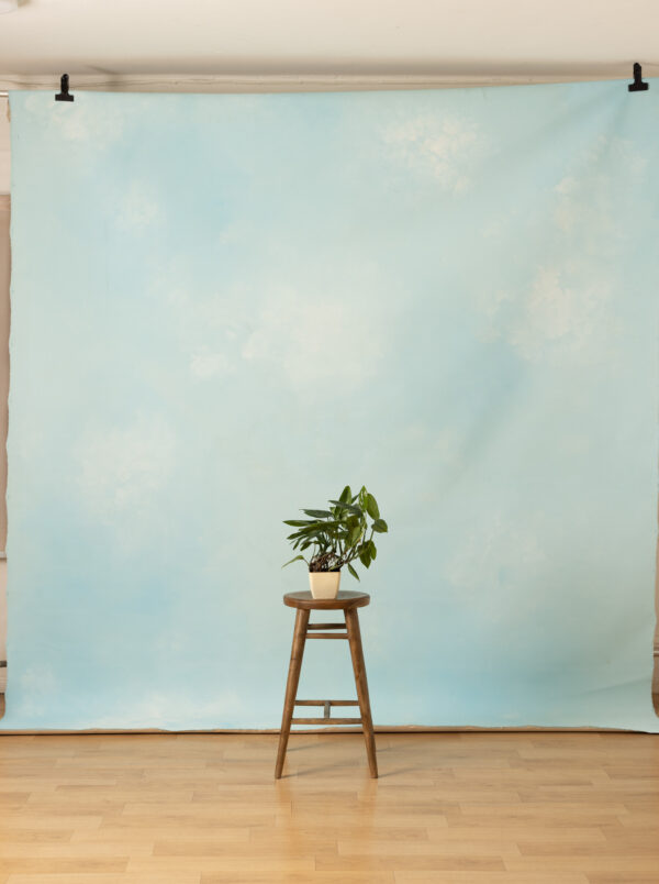 Porcelain Painted Canvas Backdrop 9x10ft RN #405(3)