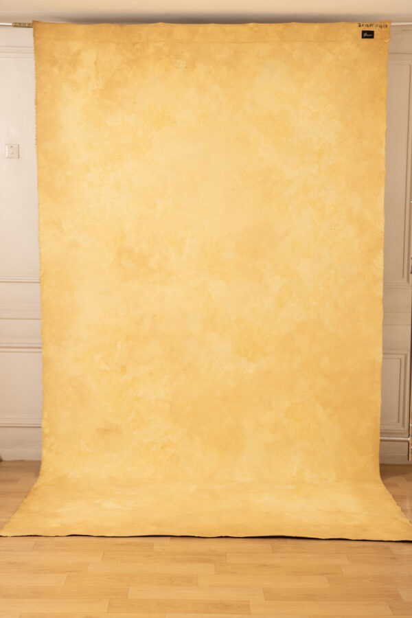 Sand and Muddy Waters Painted Canvas Backdrop 7x12ft RN S1 #417(1)