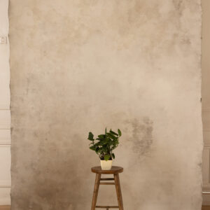 Satin Linen Painted Canvas Backdrop 7x10ft SL #401(4)