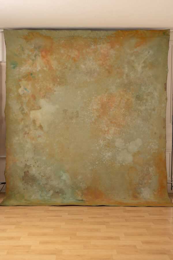 Stormy and Heathered Painted Canvas Backdrop 9x10ft RN S1 #421(1)