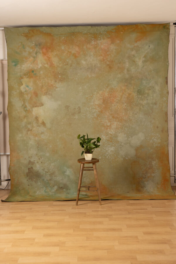 Stormy and Heathered Painted Canvas Backdrop 9x10ft RN S1 #421(3)