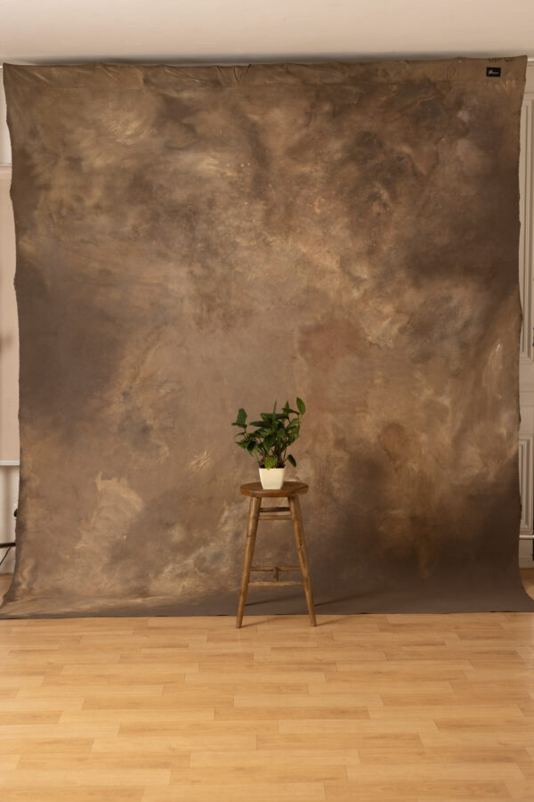 Stormy and Heathered Painted Canvas Backdrop 9x10ft RN S2 #421(7)