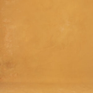 Camel Brown Painted Canvas Backdrop(RN#382)