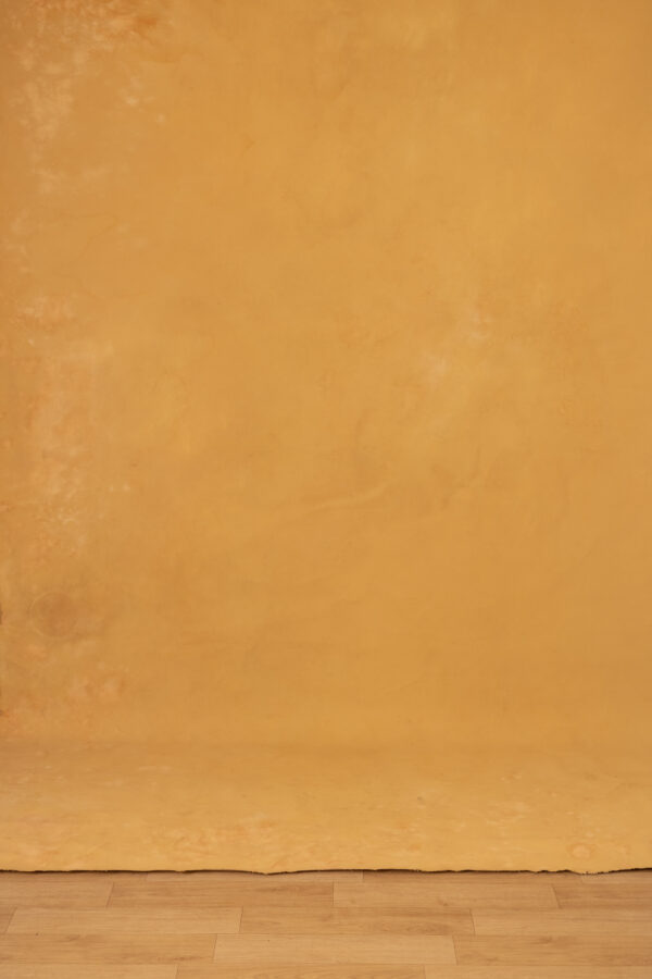 Camel Brown Painted Canvas Backdrop(RN#382)