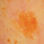 Flamed Citrus Painted Canvas Backdrop(RN#448)