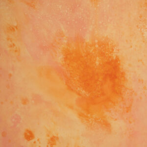 Flamed Citrus Painted Canvas Backdrop(RN#448)