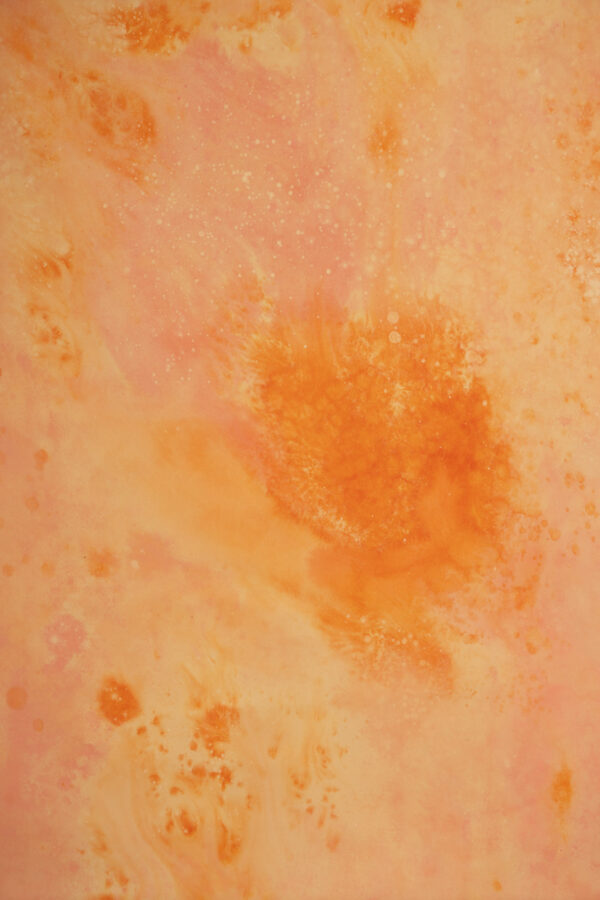 Flamed Citrus Painted Canvas Backdrop(RN#448)