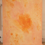 Flamed Citrus Painted Canvas Backdrop(RN#448)