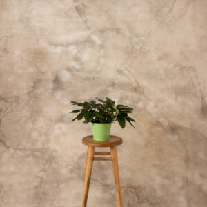 Marbled Sandstone Canvas Backdrop(RN#235)