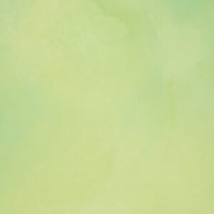 Pale Olive Painted Canvas Backdrop (RN#439)