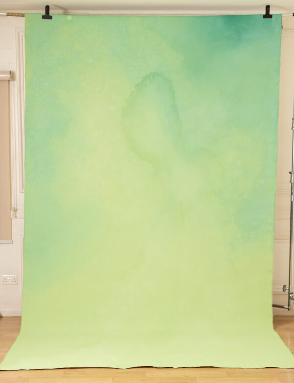 Pale Olive Painted Canvas Backdrop (RN#439)