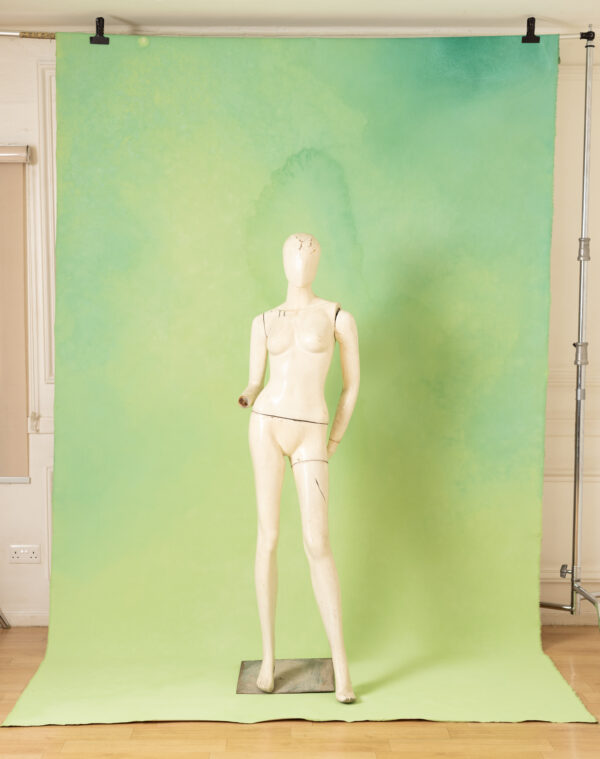 Pale Olive Painted Canvas Backdrop (RN#439)