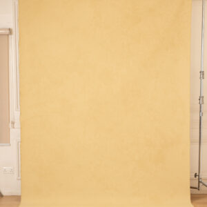 Sand Beige Painted Canvas Backdrop(RN#440)