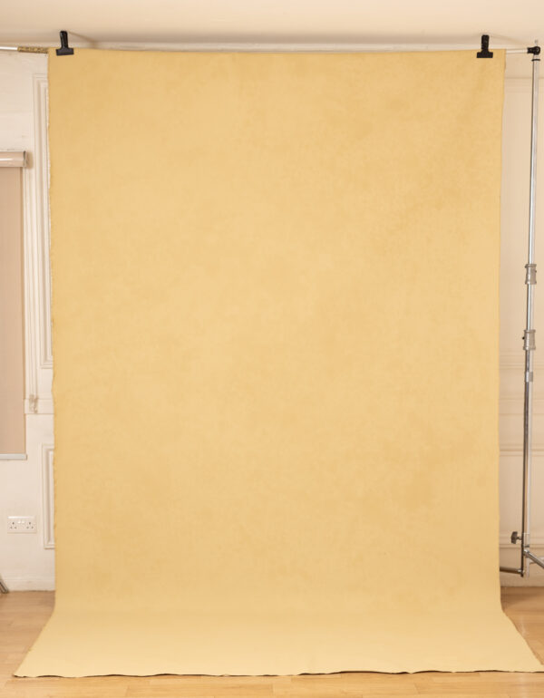 Sand Beige Painted Canvas Backdrop(RN#440)