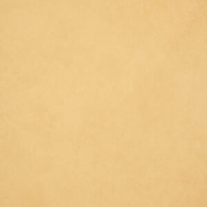 Sand Beige Painted Canvas Backdrop(RN#440)