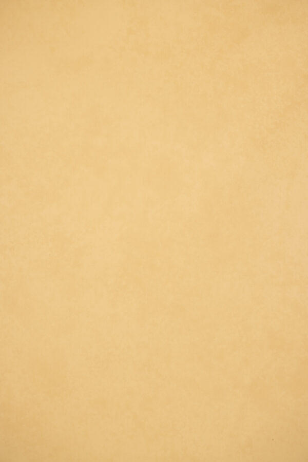 Sand Beige Painted Canvas Backdrop(RN#440)