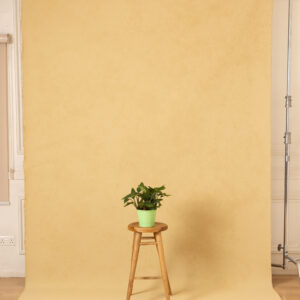Sand Beige Painted Canvas Backdrop(RN#440)