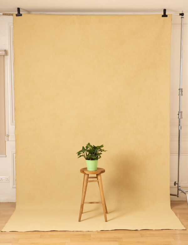 Sand Beige Painted Canvas Backdrop(RN#440)