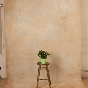 Sorrell Brown Painted Canvas Backdrop(RN#447)