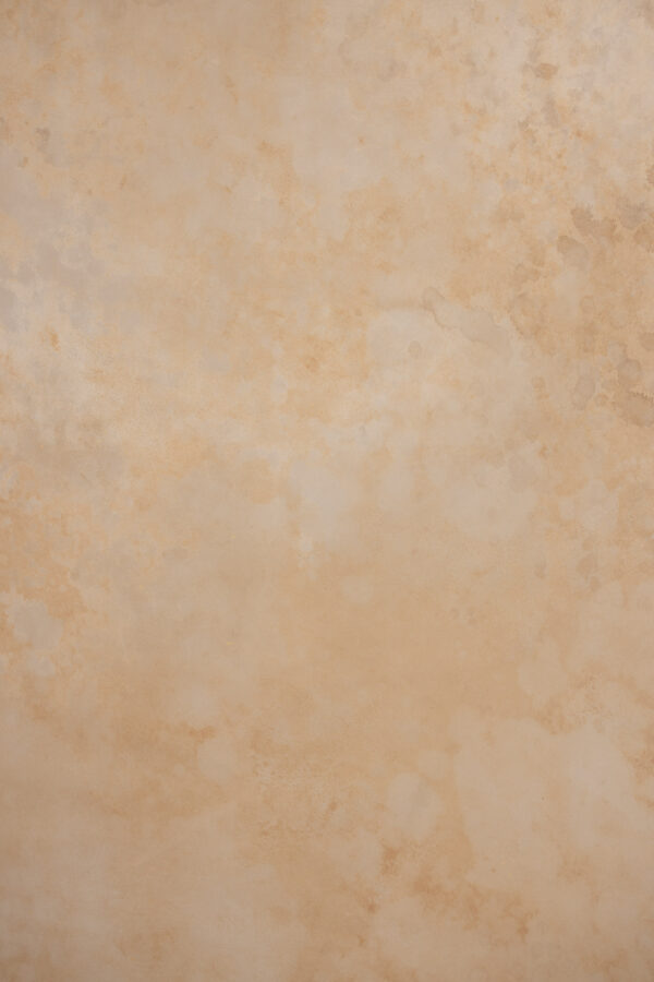 Sorrell Brown Painted Canvas Backdrop(RN#447)