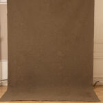 Otter Brown Painted Canvas Backdrop (RN#452)