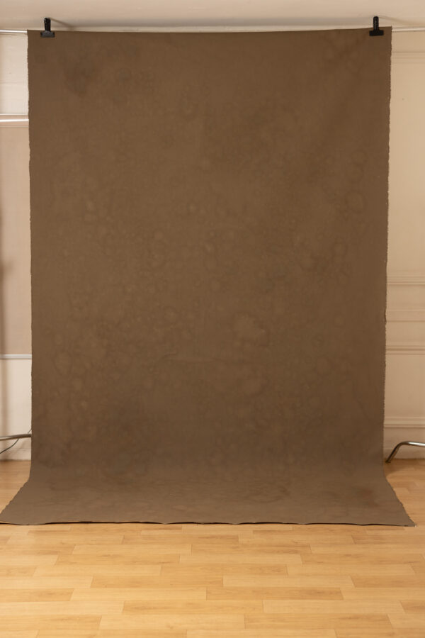 Otter Brown Painted Canvas Backdrop (RN#452)