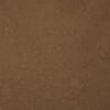 Otter Brown Painted Canvas Backdrop (RN#452)