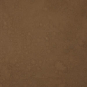 Otter Brown Painted Canvas Backdrop (RN#452)