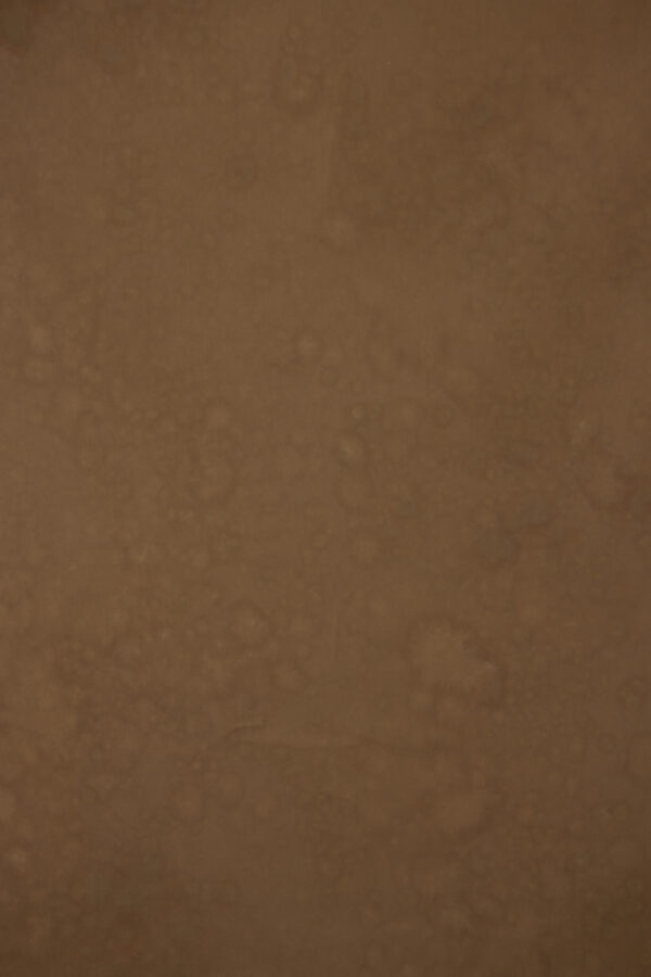 Otter Brown Painted Canvas Backdrop (RN#452)