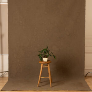 Otter Brown Painted Canvas Backdrop (RN#452)