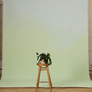 Mint Dune Painted Canvas Backdrop(RN#474)