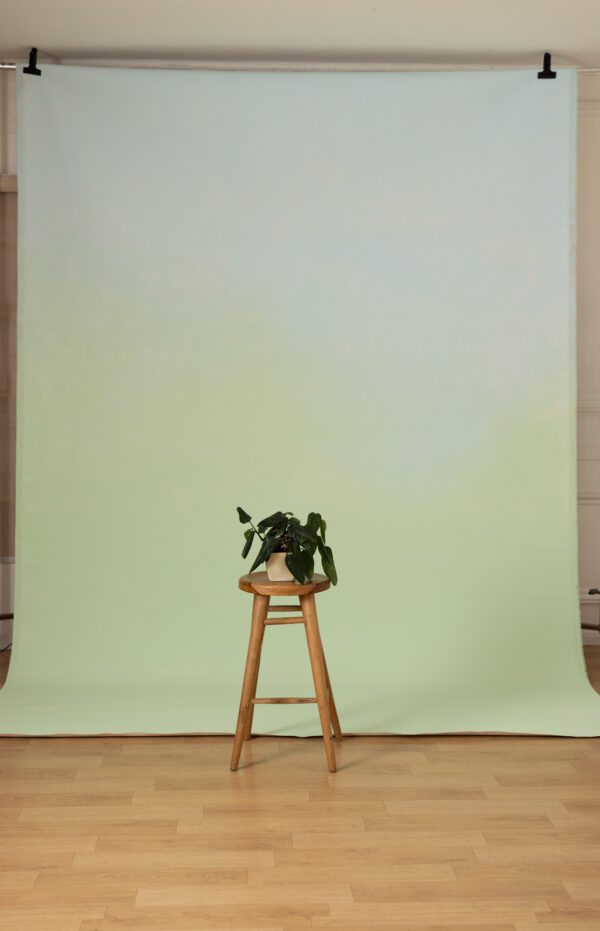 Mint Dune Painted Canvas Backdrop(RN#474)