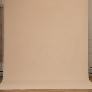 Mint Dune Painted Canvas Backdrop(RN#474)